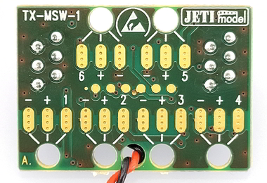 The TX-MSW 2 extension module